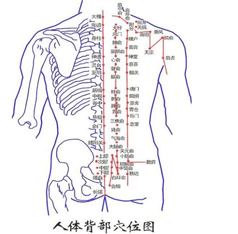 背部有痣代表什么